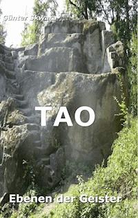 Ebenen der Geister - Günter Skwara - ebook