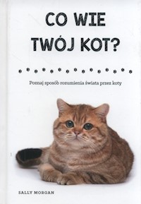 Co wie Twój kot? - Morgan Sally - książka