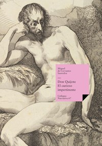Don Quijote. El curioso impertinente - Miguel de Cervantes - ebook