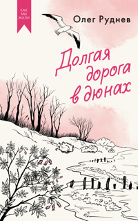 Долгая дорога в дюнах - Олег Руднев - ebook