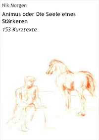 Animus oder Die Seele eines Stärkeren - Nik Morgen - ebook