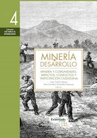 Minería y desarrollo. Tomo 4 - Óscar A. Alfonso - ebook
