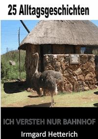 - 25 Alltagsgeschichten - Lustige Kurzgeschichten - Irmgard Hetterich - ebook