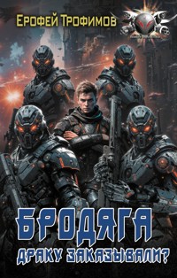 Бродяга. Драку заказывали? - Ерофей Трофимов - ebook