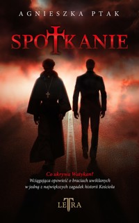 Spotkanie - Agnieszka Ptak - ebook + książka