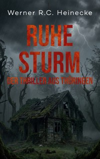 Ruhesturm - Werner R. C. Heinecke - ebook