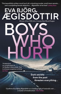 Boys Who Hurt - Eva Björg Ægisdottír - ebook
