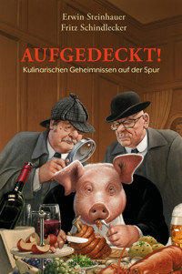 Aufgedeckt! - Erwin Steinhauer - ebook