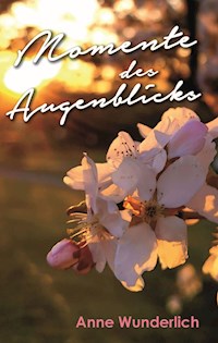 Momente des Augenblicks - Anne Wunderlich - ebook