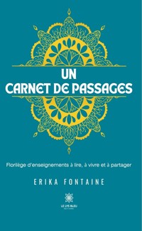 Un carnet de passages - Erika Fontaine - ebook