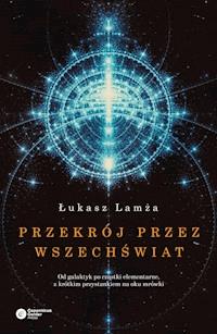 Przekrój przez wszechświat. Od galaktyk po cząstki elementarne, z krótkim przystankiem na oku mrówki - Łukasz Lamża - ebook