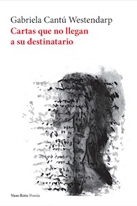 Cartas que no llegan a su destinatario - Gabriela Cantú Westendarp - ebook