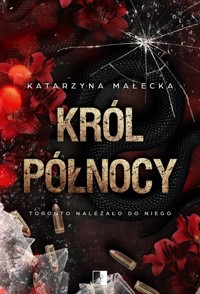 Król północy - Katarzyna Małecka - ebook + audiobook + książka