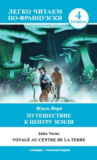 Путешествие к центру Земли. Уровень 4 - Жюль Верн - ebook