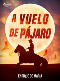 A vuelo de pájaro - Enrique De María - ebook