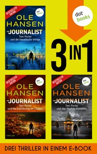 Der Journalist - Ole Hansen - ebook