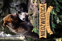 Niedźwiedzica z Baligrodu i inne historie Kazimierza Nóżki - Marcin Szumowski - ebook + książka