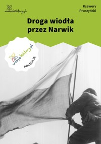 Droga wiodła przez Narwik - Pruszyński Ksawery - ebook