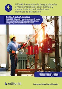 Prevención de riesgos laborales y medioambientales en el montaje y mantenimiento de instalaciones eléctricas de alta tensión. ELEE0209 - Francisco Rafael Lara Almazán - ebook