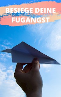 Besiege deine Flugangst - Claudia Hauptmann - ebook