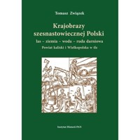Krajobrazy szesnastowiecznej Polski las ziemia woda ruda darniowa - Związek Tomasz - książka