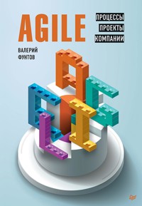 Agile. Процессы, проекты, компании - В. Фунтов - ebook