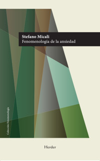 Fenomenología de la ansiedad - Stefano Micali - ebook