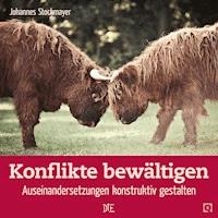 Konflikte bewältigen - Johannes Stockmayer - ebook