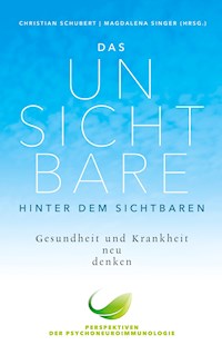 Das Unsichtbare hinter dem Sichtbaren -  - ebook