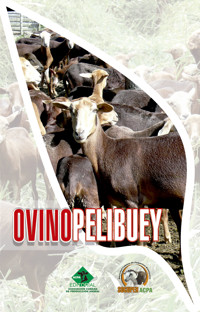 Ovino pelibuey - Colectivo de Autores - ebook