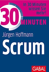 30 Minuten Scrum - Jürgen Hoffmann - ebook