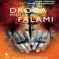 Droga między falami - Niegrebecki Bartosz - ebook + audiobook + książka