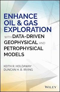 Enhance Oil and Gas Exploration with Data-Driven Geophysical and Petrophysical Models - Keith R. Holdaway - ebook