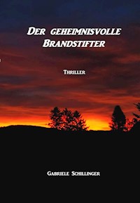 Der geheimnisvolle Brandstifter - Gabriele Schillinger - ebook