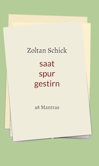 saat spur gestirn - Zoltan Schick - ebook