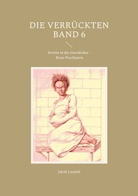 Die Verrückten Band 6 - Jakob Landolt - ebook
