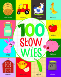 100 słów. Wieś -  - książka
