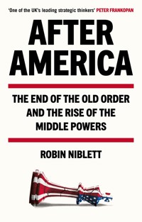 After America - Robin Niblett - ebook