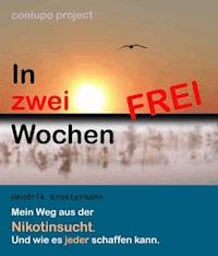 In zwei Wochen frei - Hendrik Broxtermann - ebook