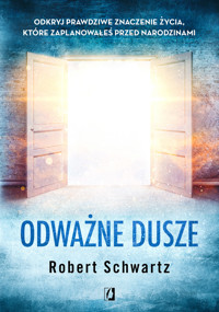 Odważne dusze. Odkryj prawdziwe znaczenie życia, które zaplanowałeś przed narodzinami - Robert Schwartz - książka