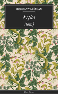 Łąka - Bolesław Leśmian - ebook + książka