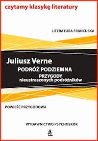 Podróż podziemna. Przygody nieustraszonych podróżników - Juliusz Verne - ebook