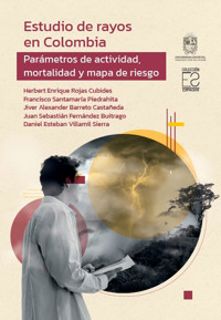 Estudio de rayos en Colombia - Herbert Enrique Rojas Cubides - ebook