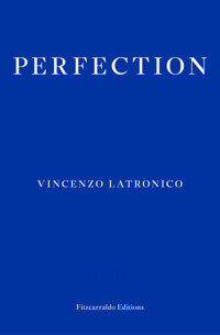 Perfection - Latronico Vincenzo - ebook