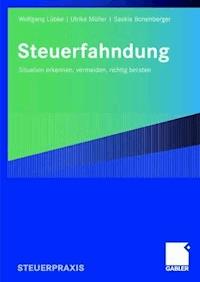 Steuerfahndung - Wolfgang Lübke - ebook