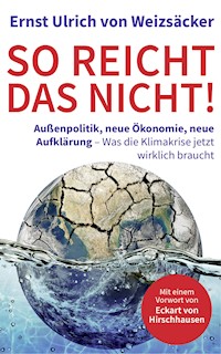 So reicht das nicht! - Ernst Ulrich von Weizsäcker - ebook