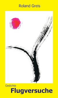 Flugversuche - Roland Greis - ebook