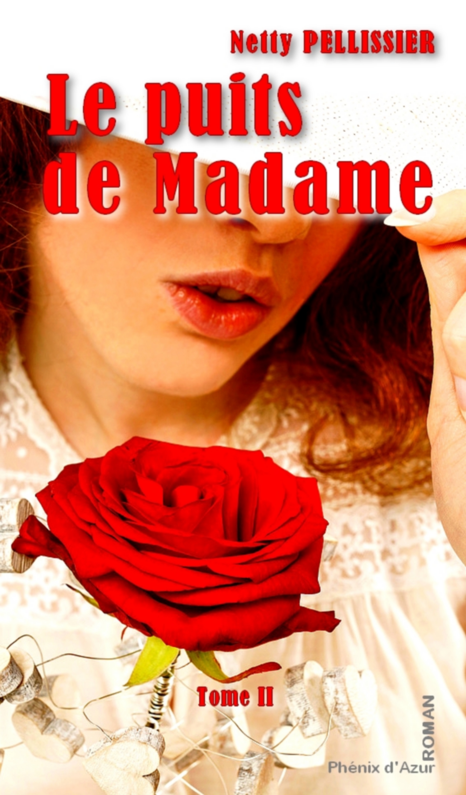 Le puits de Madame - Tome II - PELLISSIER - ebook