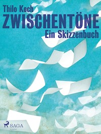 Zwischentöne - Ein Skizzenbuch - Thilo Koch - ebook