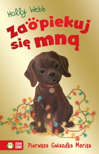 Zaopiekuj się mną. Pierwsza Gwiazdka Morisa - Holly Webb - audiobook + książka